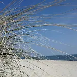 Appartamento Fortuna Gaestehaus App Hiddensee *